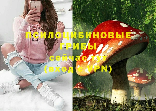 гидра Бородино