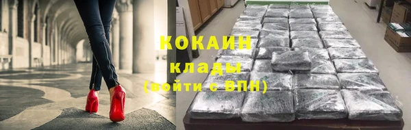 мдпв Бронницы