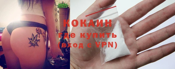 гидра Бородино