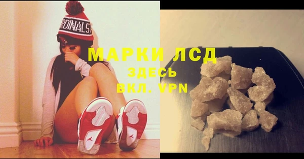 прущие грибы Бугульма
