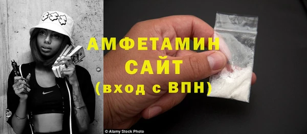 гидра Бородино