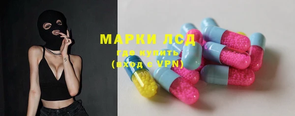 гидра Бородино