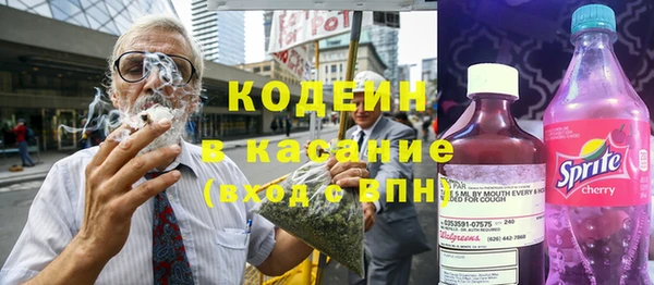 гидра Бородино