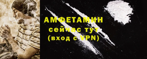 гидра Бородино