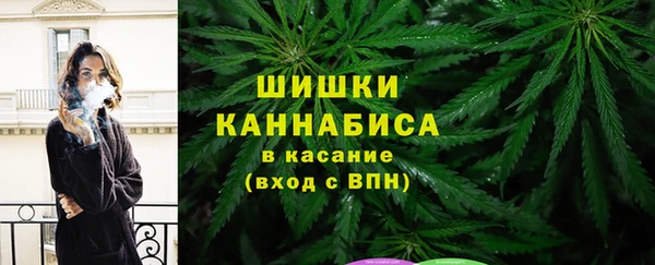 прущие грибы Бугульма