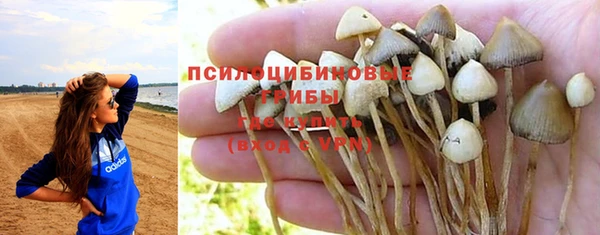 мдпв Бронницы