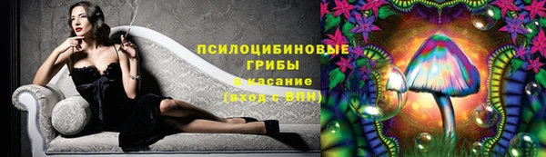 прущие грибы Бугульма